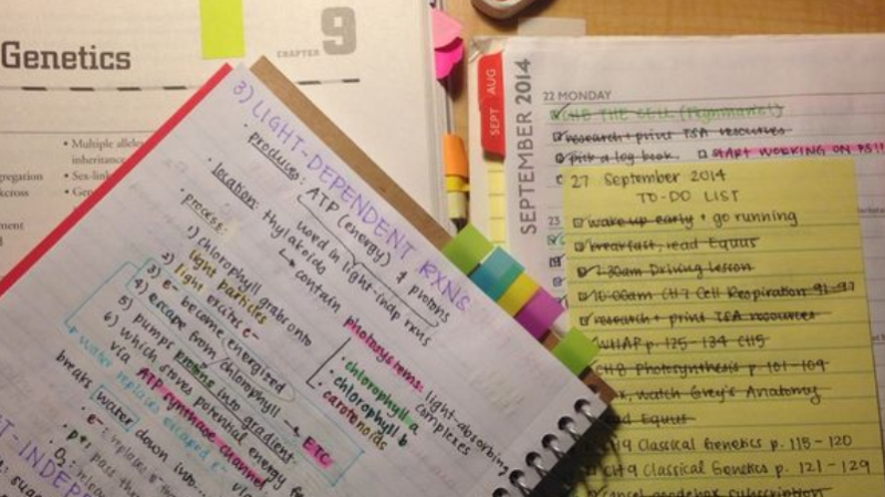 Earning With Your Student Notes and Study Guides: Why And How You Should Do It